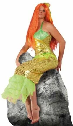Costume Adulte Sirène Robe + Serre Tete Taille Unique