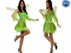 Costume Femme Fée De L'Automne Verte Taille 38/40