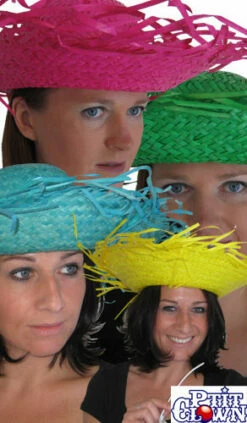 1 Chapeau Paille Hawaïen - 4 Couleurs Assorties (pas De Choix De Couleur)