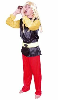 Costume Adulte Luxe " Petit Gaulois " Taille Unique