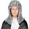 Boland Perruque De Juge Grise -WIDMANN Magasin Perruque de Juge Grise