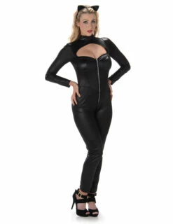 Costume Adulte Femme Chat Noir Sexy Taille M Ou S